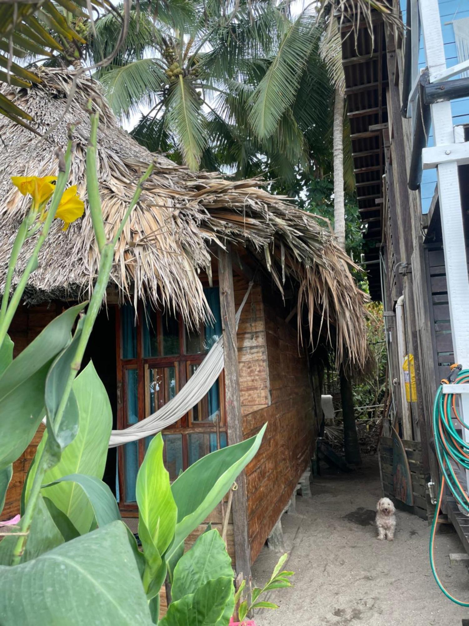 Hotel Chill And Surf Mendihuaca Guachaca Exterior foto